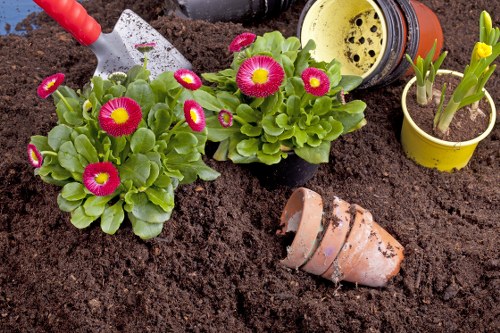 Illustration of website cookie settings for Landscaping Ilford
