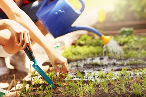 Workers beginning a landscaping service project