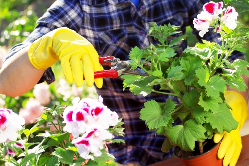Hard landscaping patio and paved garden features for Ilford homes