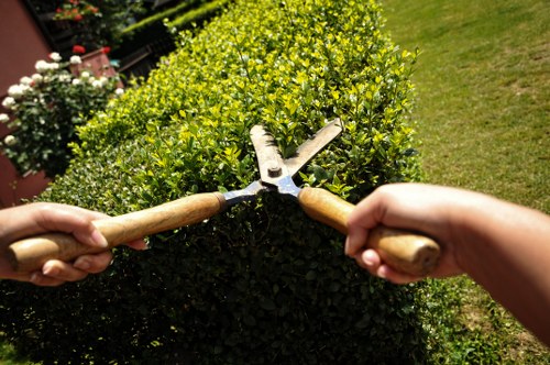 Landscaping Ilford commitment to human rights and compliance