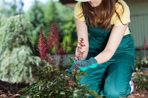 Local garden redesign features including turf, paving, and borders in Ilford