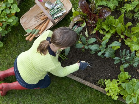 Neat lawn and low-maintenance planting for a home in Ilford