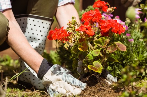 Supplier audit checklist for landscaping operations